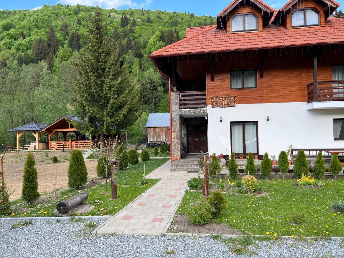 Pensiunea Pietrosul Rodnei Moisei Exterior foto
