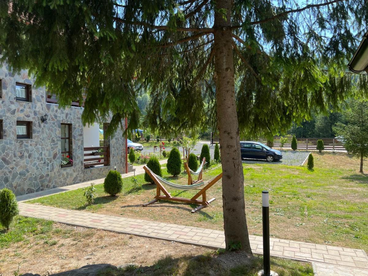 Pensiunea Pietrosul Rodnei Moisei Exterior foto