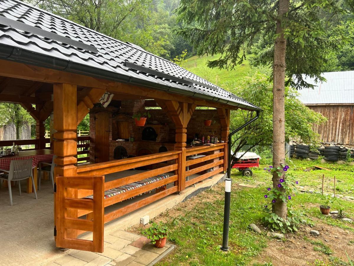 Pensiunea Pietrosul Rodnei Moisei Exterior foto