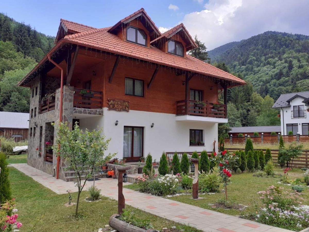 Pensiunea Pietrosul Rodnei Moisei Exterior foto