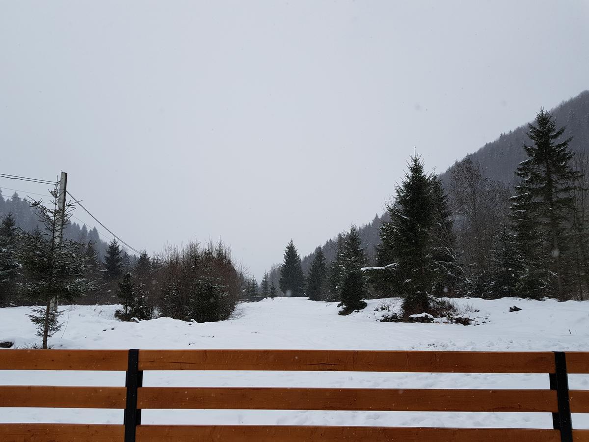 Pensiunea Pietrosul Rodnei Moisei Exterior foto