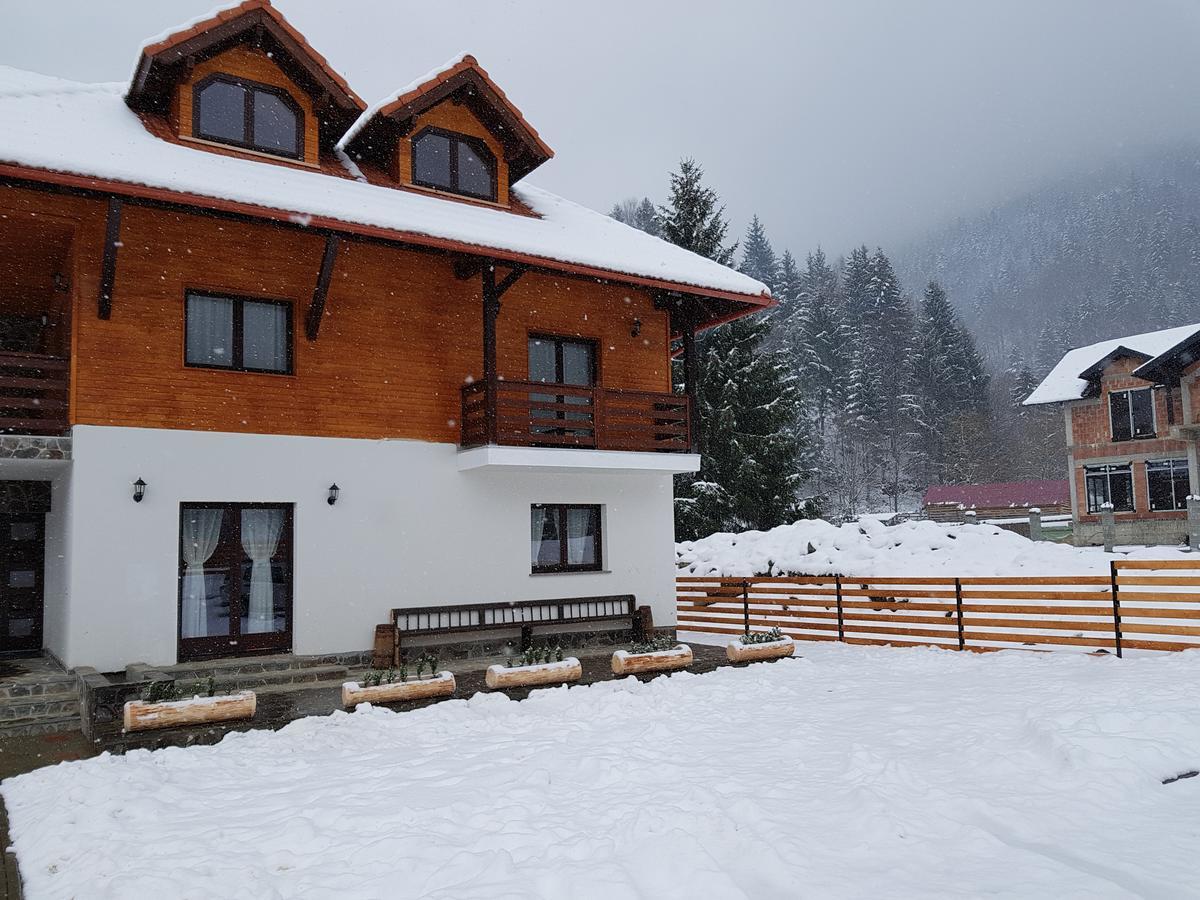 Pensiunea Pietrosul Rodnei Moisei Exterior foto