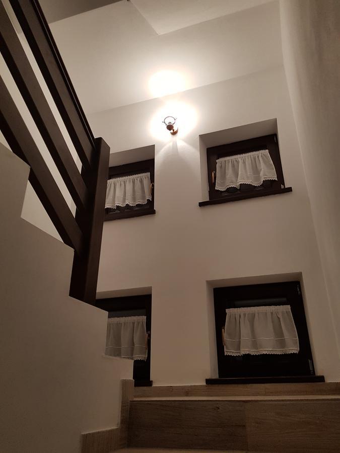 Pensiunea Pietrosul Rodnei Moisei Exterior foto