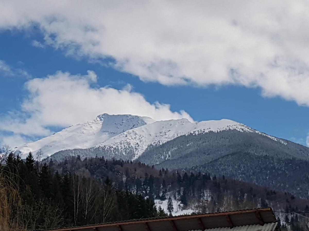Pensiunea Pietrosul Rodnei Moisei Exterior foto