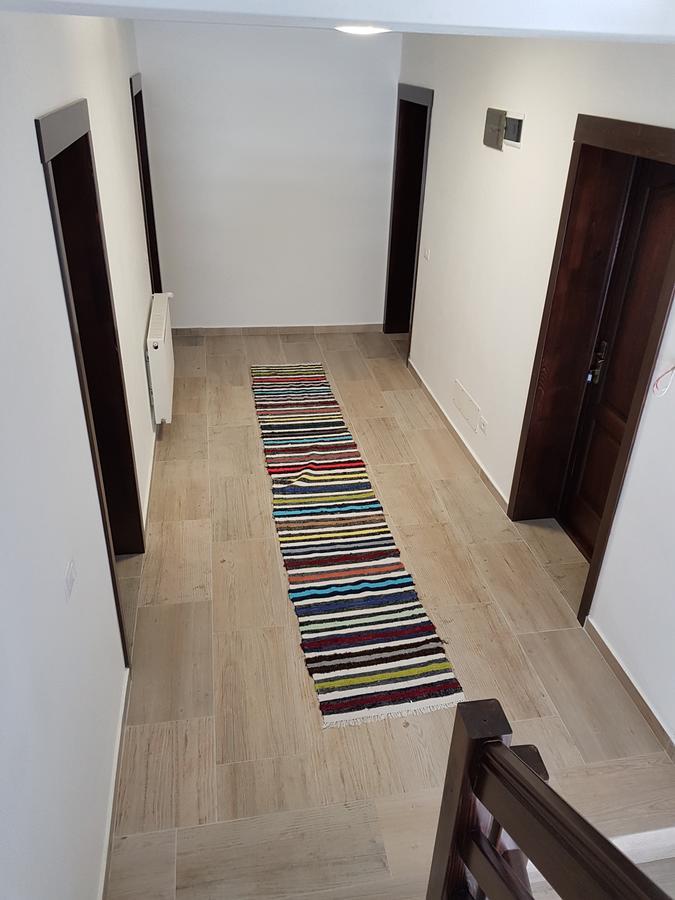 Pensiunea Pietrosul Rodnei Moisei Exterior foto