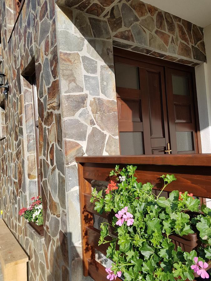 Pensiunea Pietrosul Rodnei Moisei Exterior foto