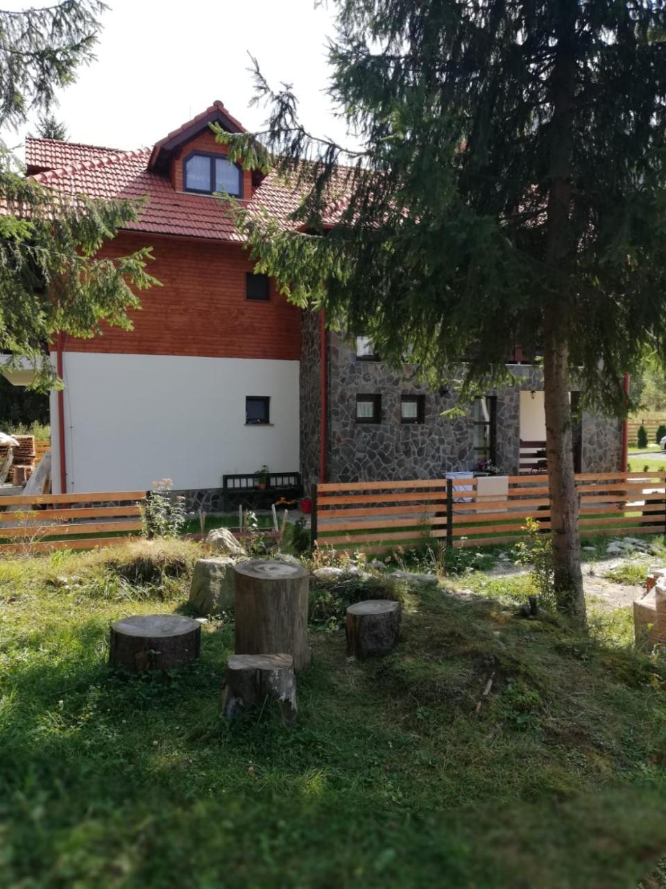 Pensiunea Pietrosul Rodnei Moisei Exterior foto
